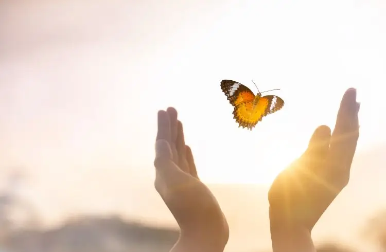 Transformez votre vie et apaisez vos relations avec les constellations familiales et systémiques.